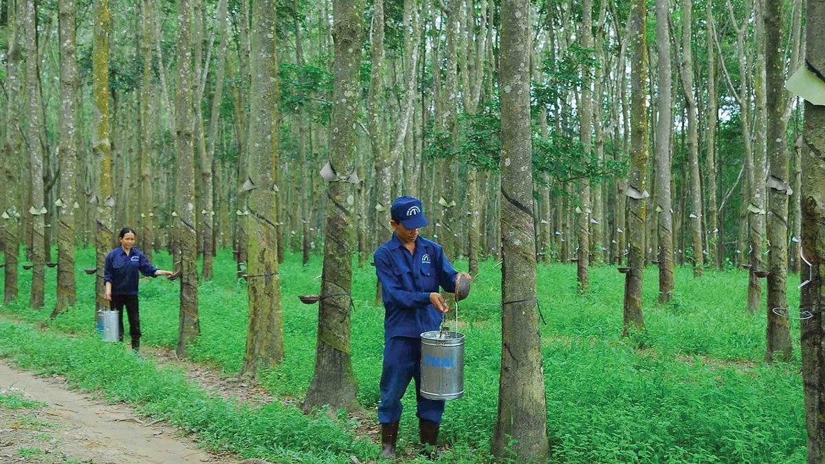 Sự kiện chứng khoán đáng chú ý ngày 9/7